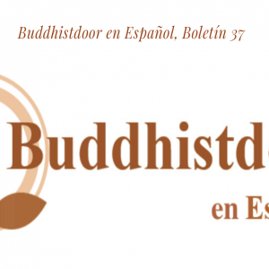 Buddhistdoor en Español, Boletín 37